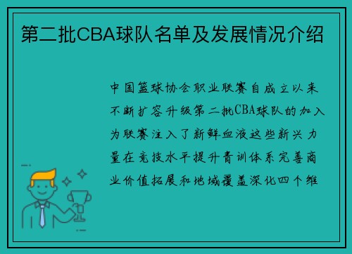 第二批CBA球队名单及发展情况介绍